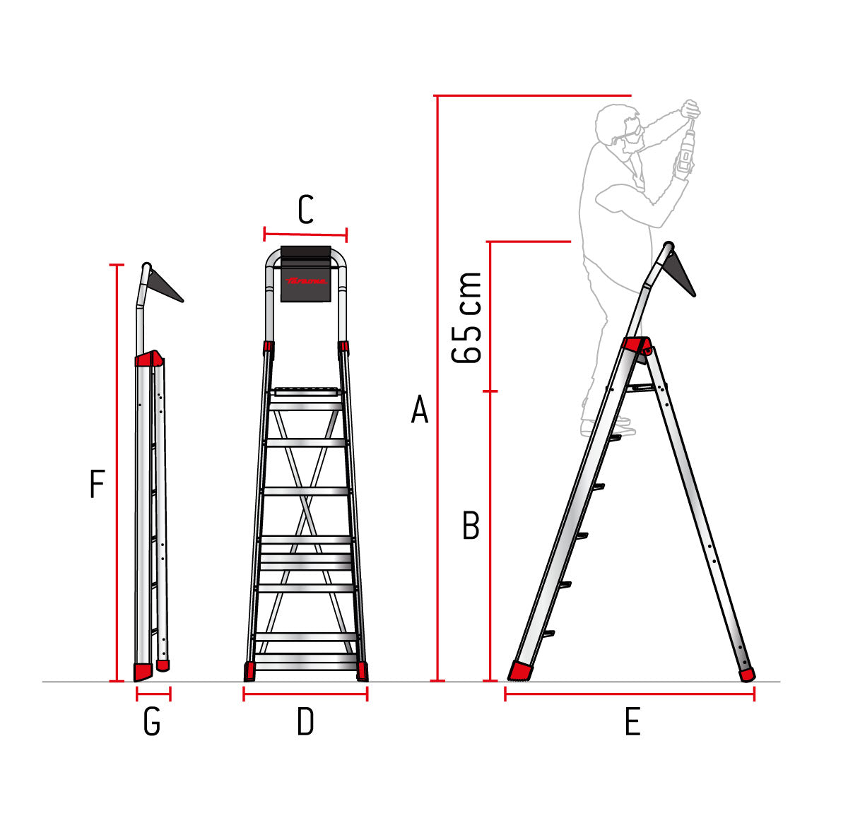 Illustration avec les dimensions des échelles Lady de Faraone