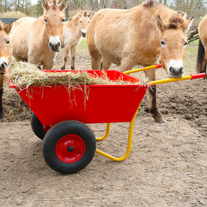 Brouette agricole - 2 roues increvables - 200 L / 250 kg